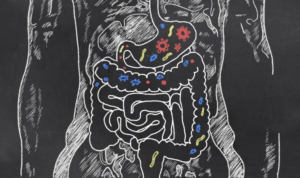 LOW LEVELS OF MICROFLORA ARE LINKED TO: