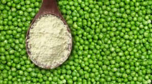 Pea Protein Powder