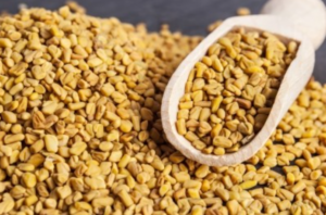 A Closer Look at Fenugreek and Testofen