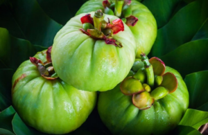 Garcinia Cambogia (Hydroxycitric Acid) as a Potential Anti-Obesity Agent